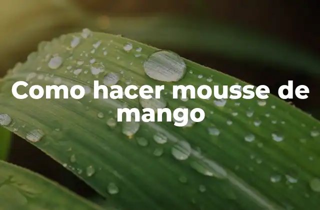 Como Hacer Mousse de Mango