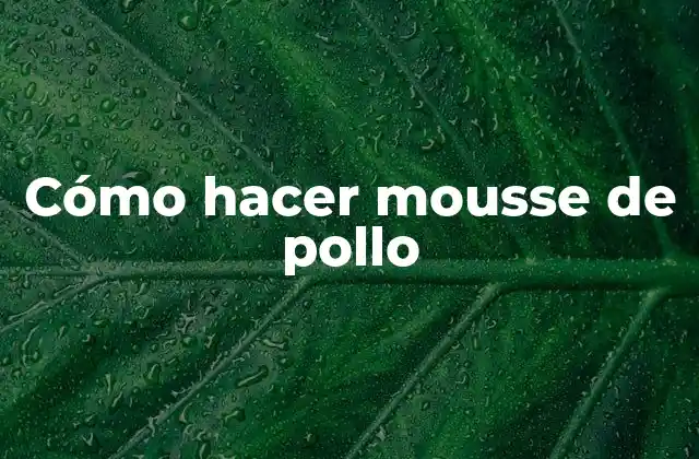 ¿Qué es el mousse de pollo y para qué sirve?