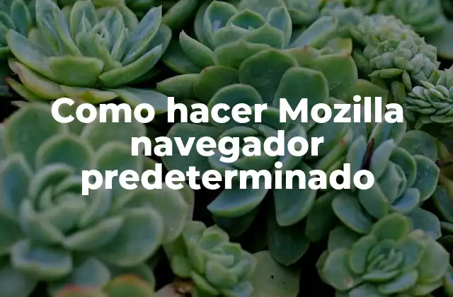 Como Hacer Mozilla Navegador Predeterminado