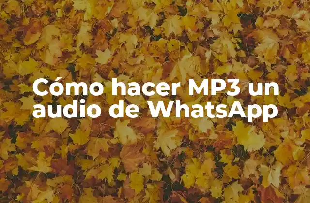 Cómo Hacer Mp3 un Audio de Whatsapp