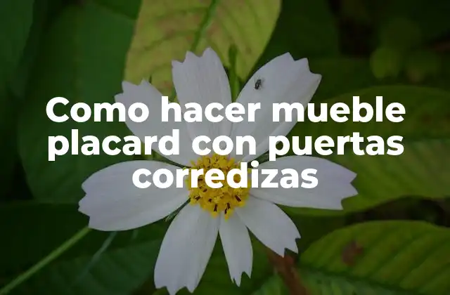 Como Hacer Mueble Placard con Puertas Corredizas