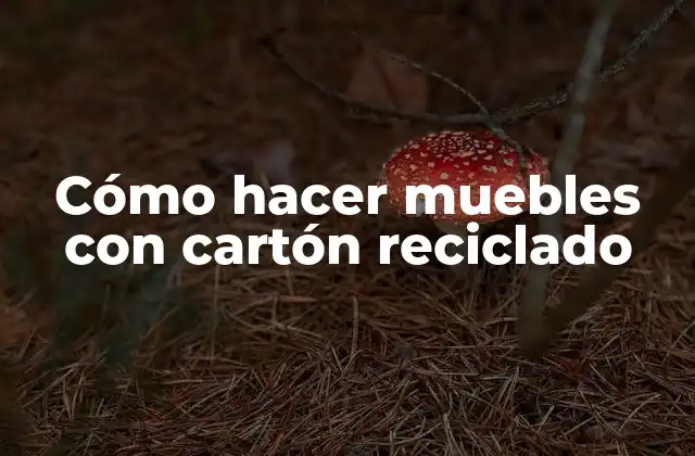 Cómo Hacer Muebles con Cartón Reciclado