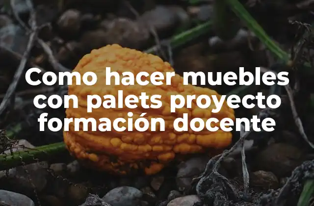 Crear muebles con palets en un proyecto de formación docente