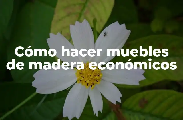 Cómo hacer muebles de madera económicos