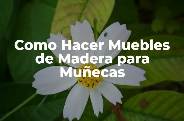 Como Hacer Muebles de Madera para Muñecas