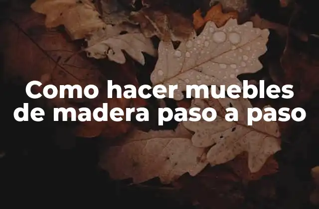 Como Hacer Muebles de Madera Paso a Paso 2 Como hacer muebles de madera paso a paso