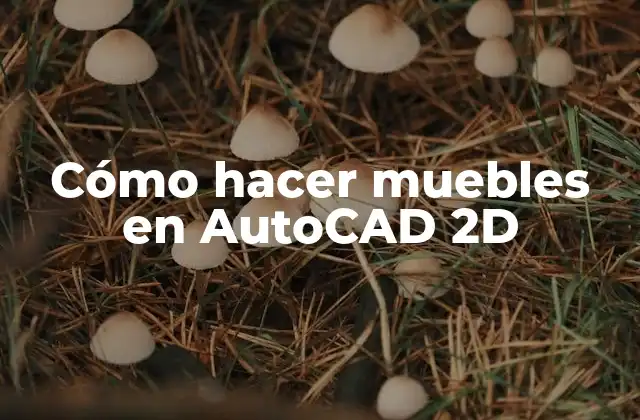 Cómo Hacer Muebles en Autocad 2d