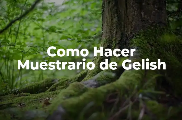 Como Hacer Muestrario de Gelish