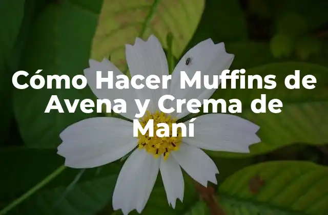 Cómo Hacer Muffins de Avena y Crema de Maní