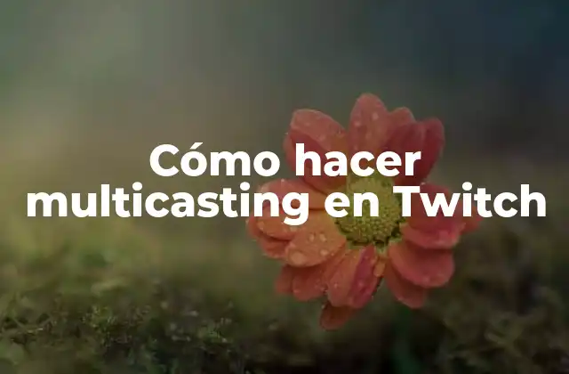 Cómo Hacer Multicasting en Twitch