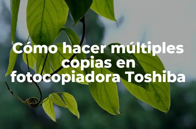 Cómo Hacer Múltiples Copias en Fotocopiadora Toshiba