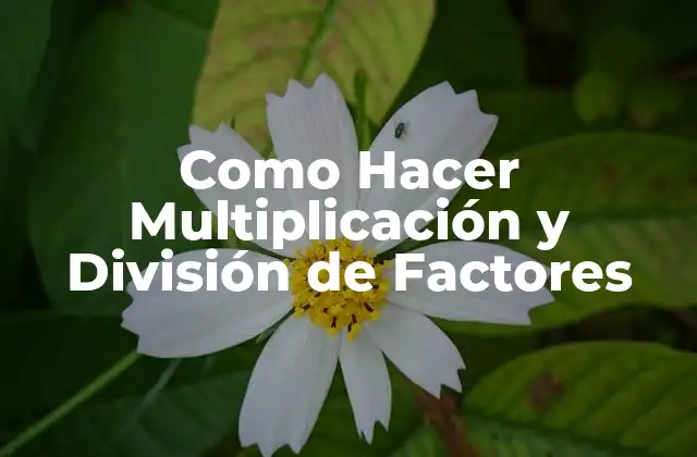 Como Hacer Multiplicación y División de Factores 2 ¿Qué son la Multiplicación y División de Factores?