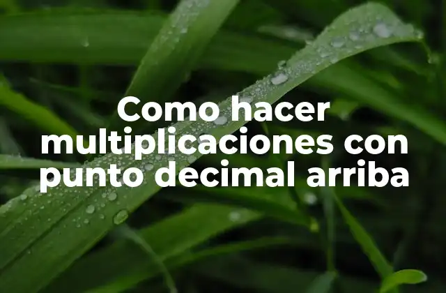 Como Hacer Multiplicaciones con Punto Decimal Arriba