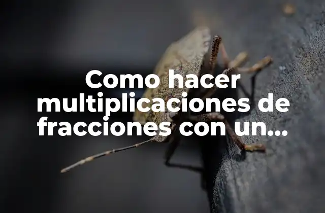 Como Hacer Multiplicaciones de Fracciones con un Entero