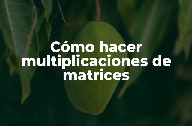Cómo Hacer Multiplicaciones de Matrices