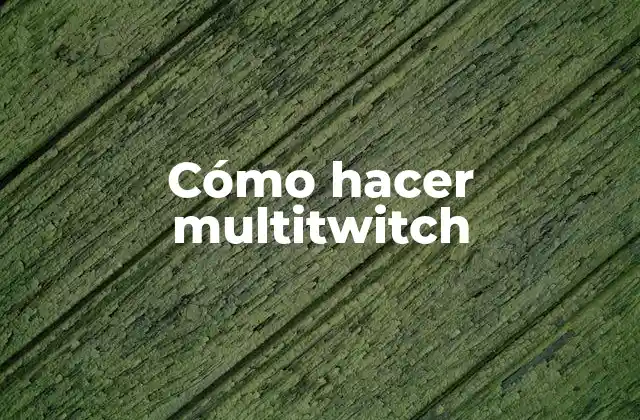 Cómo Hacer Multitwitch