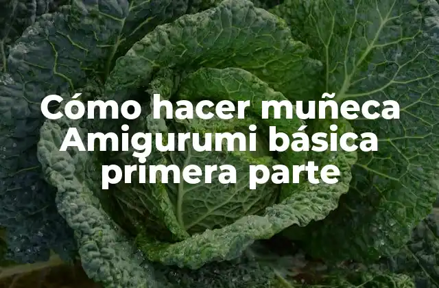 ¿Qué es una muñeca Amigurumi?