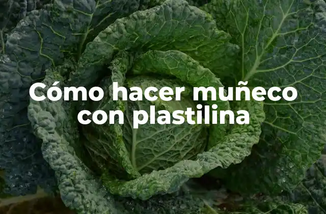 Cómo Hacer Muñeco con Plastilina