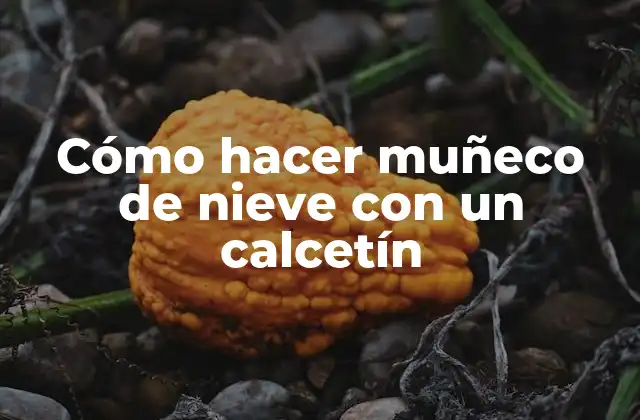 Cómo Hacer Muñeco de Nieve con un Calcetín