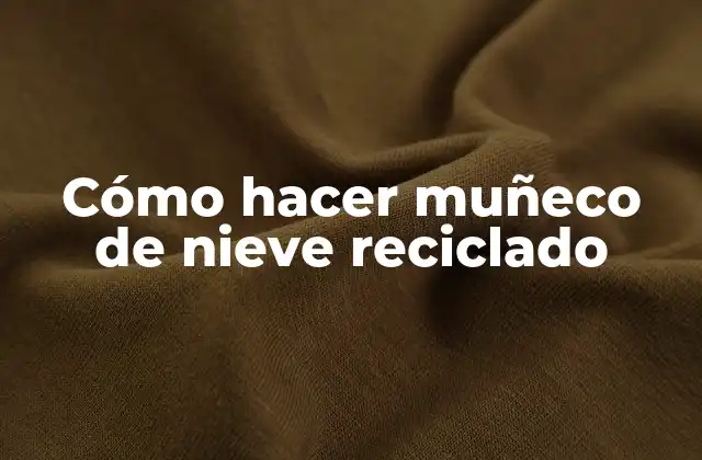 Cómo Hacer Muñeco de Nieve Reciclado