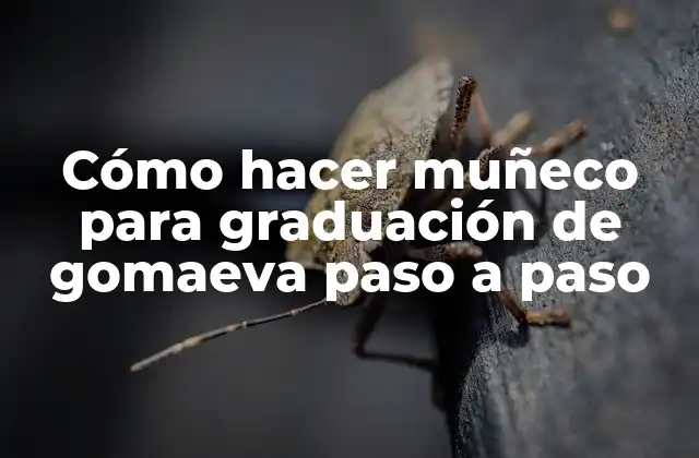 Cómo Hacer Muñeco para Graduación de Gomaeva Paso a Paso