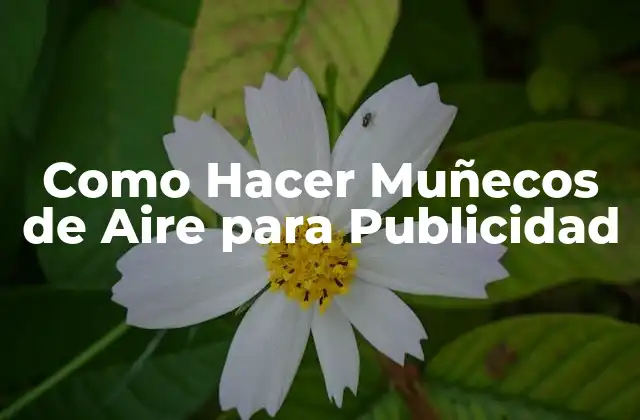 Como Hacer Muñecos de Aire para Publicidad