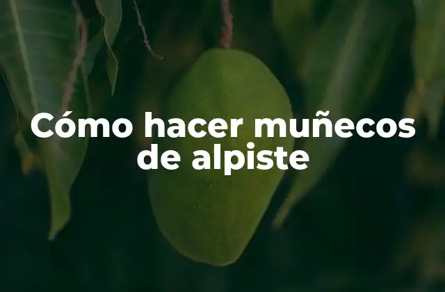 Cómo Hacer Muñecos de Alpiste