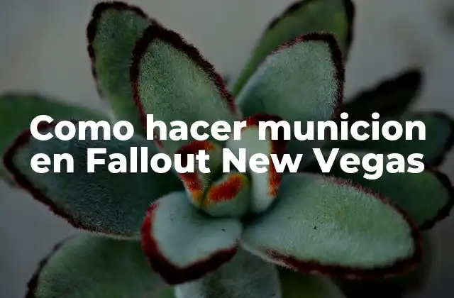 Crear municiones en Fallout New Vegas