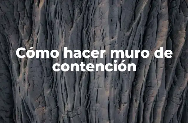 Cómo Hacer Muro de Contención