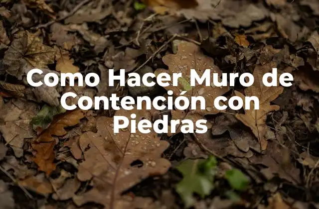 Como Hacer Muro de Contención con Piedras