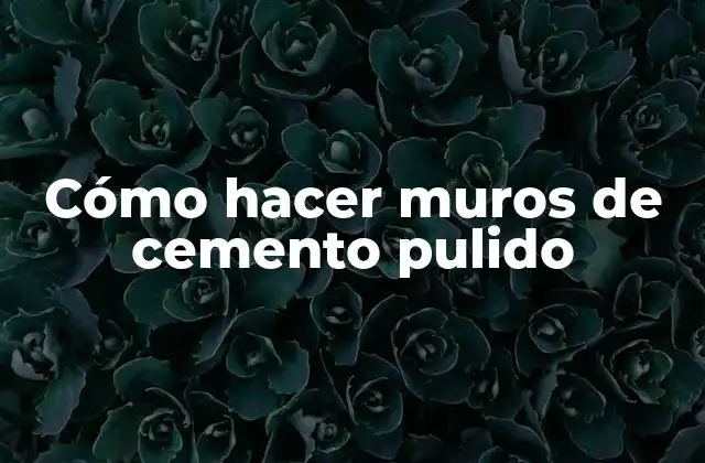 Cómo Hacer Muros de Cemento Pulido