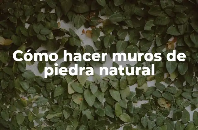 Cómo Hacer Muros de Piedra Natural