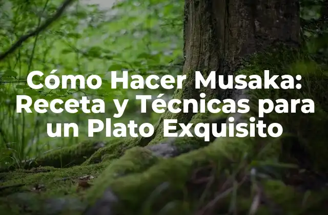 Cómo Hacer Musaka: Receta y Técnicas para un Plato Exquisito 2 Ingredientes y Herramientas Necesarias para Hacer Musaka