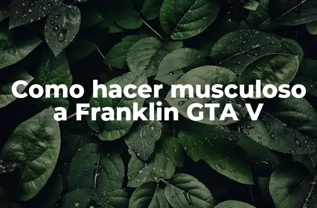 Como Hacer Musculoso a Franklin Gta V