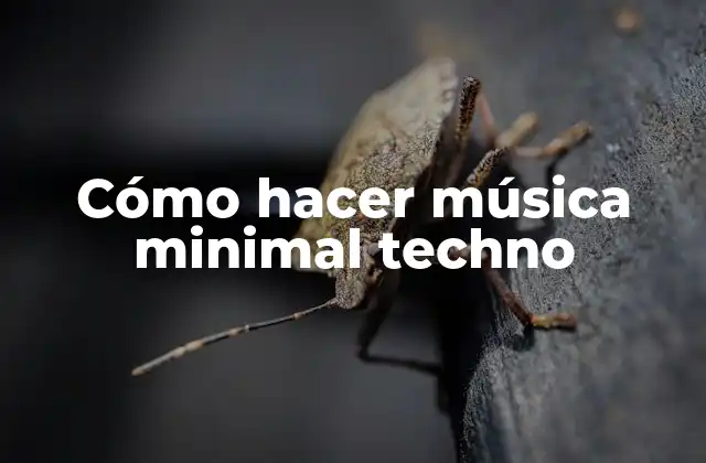Cómo Hacer Música Minimal Techno