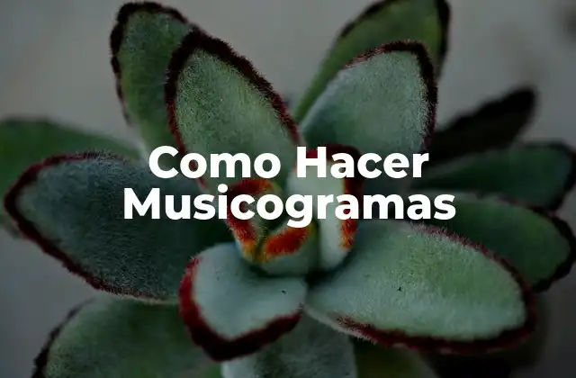 Como Hacer Musicogramas