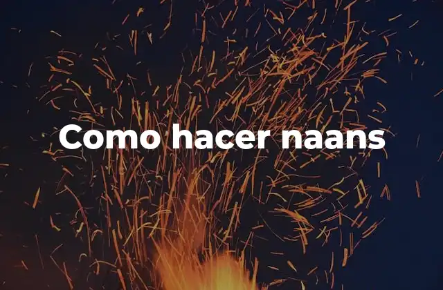 ¿Qué son los naans y cómo se utilizan?