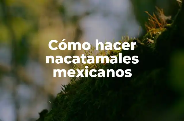 Cómo Hacer Nacatamales Mexicanos 2 ¿Qué son los nacatamales mexicanos?