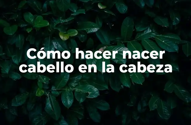 Cómo Hacer Nacer Cabello en la Cabeza