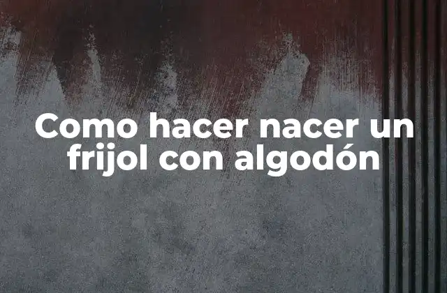 Como Hacer Nacer un Frijol con Algodón