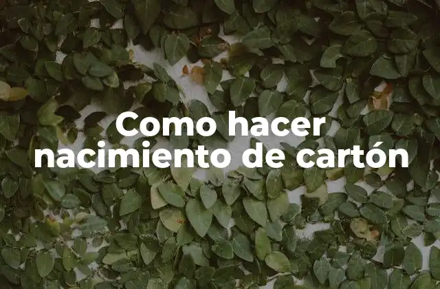 Como Hacer Nacimiento de Cartón