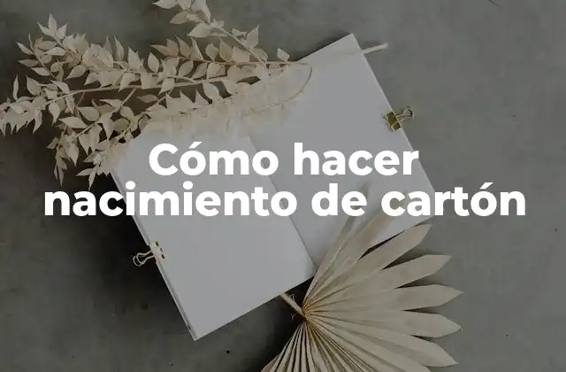 Cómo Hacer Nacimiento de Cartón