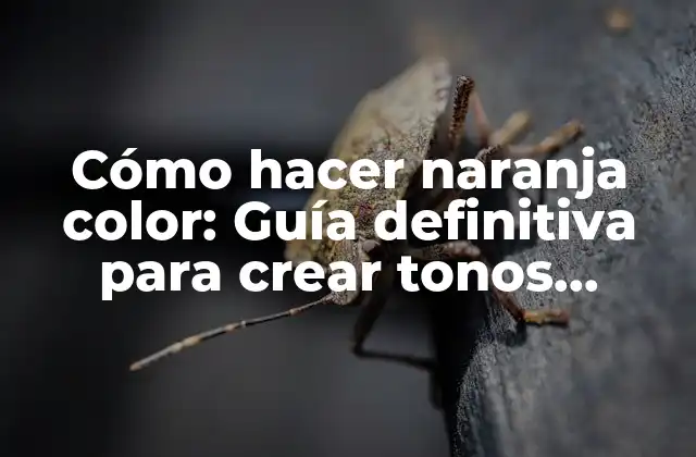 Cómo Hacer Naranja Color: Guía Definitiva para Crear Tonos Vibrantes