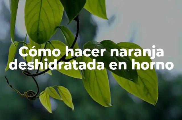 Cómo Hacer Naranja Deshidratada en Horno