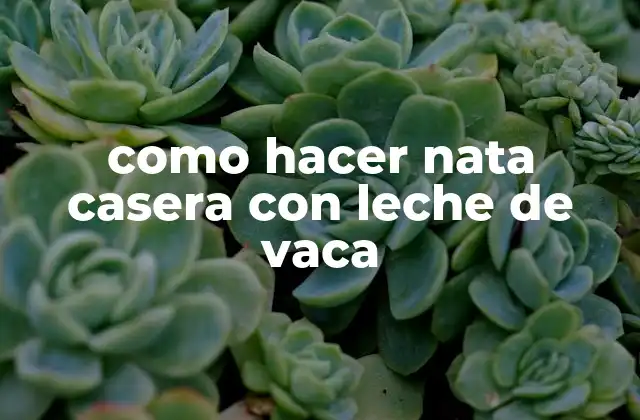 ¿Qué es la nata casera y cómo se hace con leche de vaca?