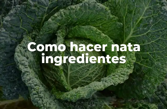Como Hacer Nata Ingredientes