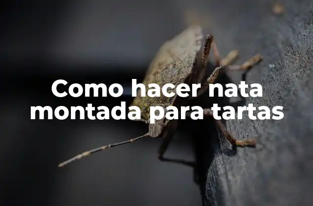 Como Hacer Nata Montada para Tartas