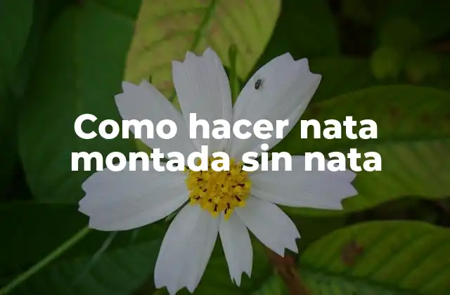 Como Hacer Nata Montada sin Nata