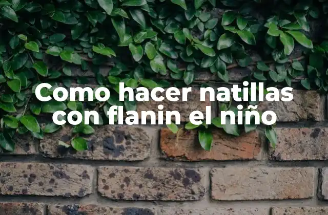 Como Hacer Natillas con Flanin el Niño