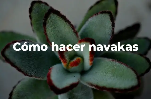 Cómo Hacer Navakas